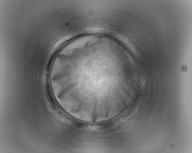 X0000090630583200708141436