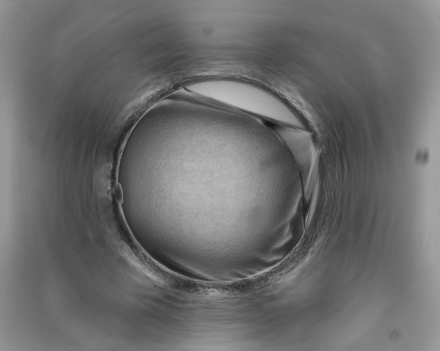 X0000090630585200708141436