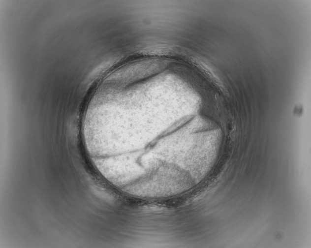 X0000090630586200708141436