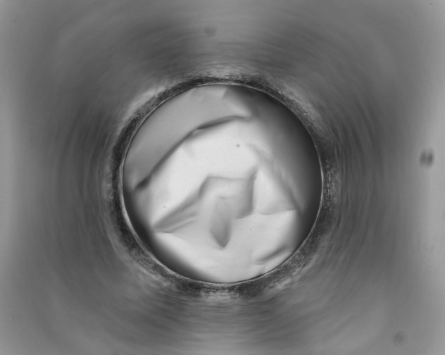 X0000090630587200708141436