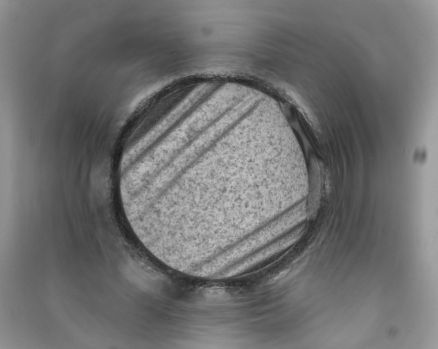 X0000090630588200708141436