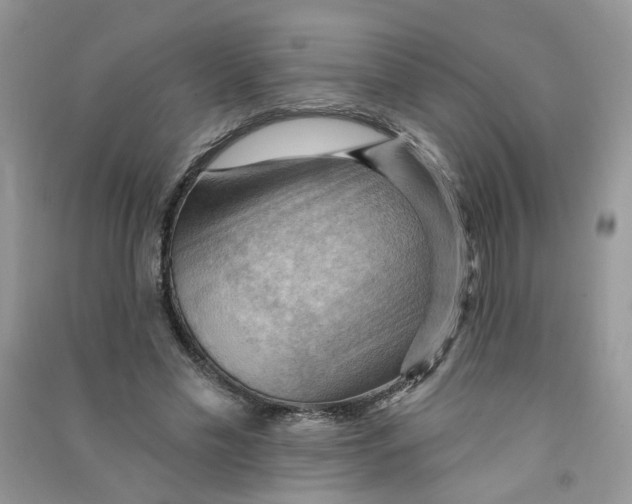 X0000090630589200708141436