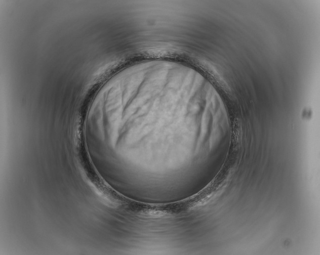 X0000090630590200708141436