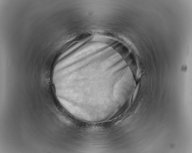 X0000090630593200708141436