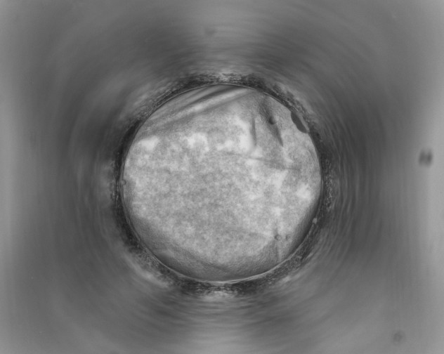 X0000090630594200708141436
