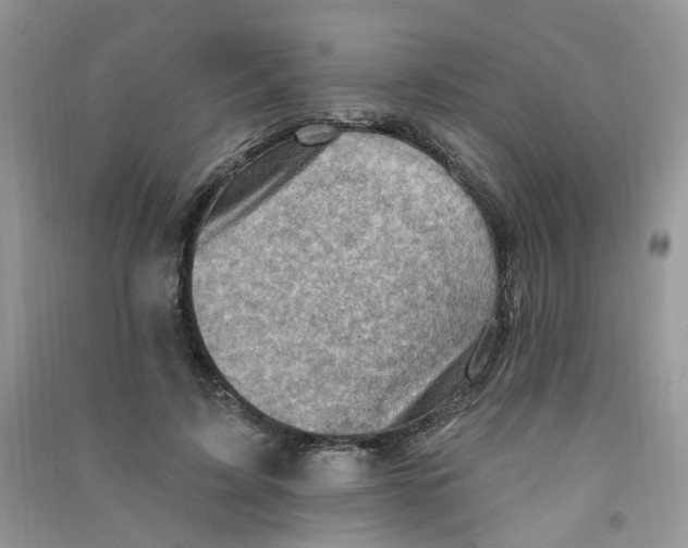 X0000090630595200708141436