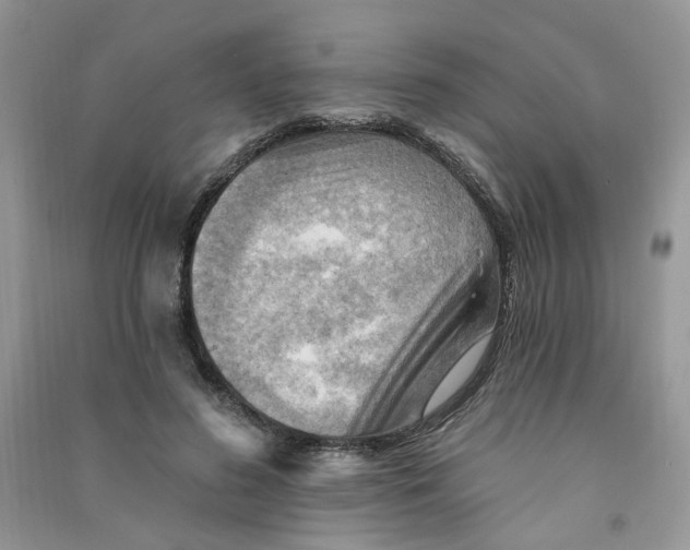 X0000090630596200708141436