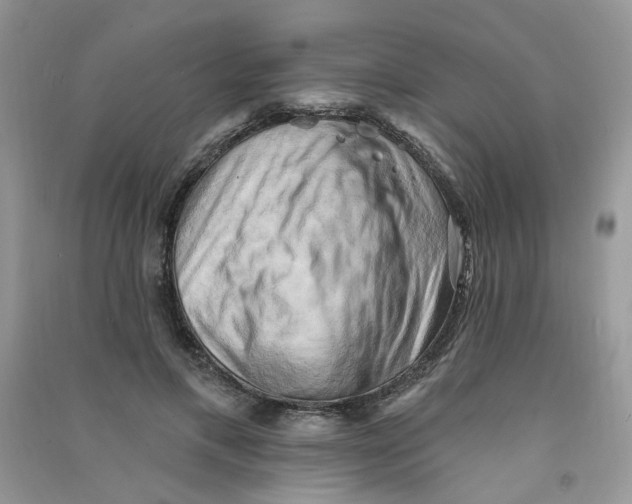 X0000090630597200708141436