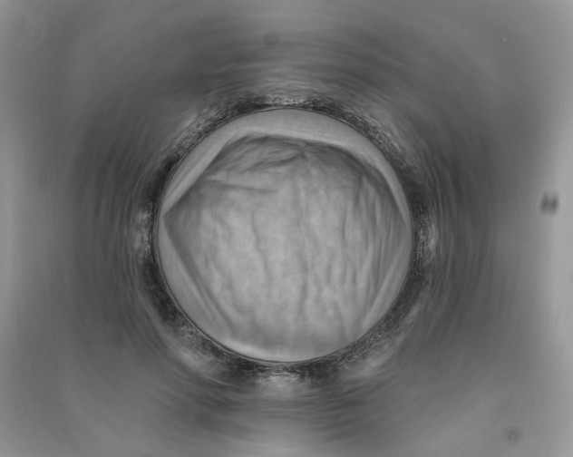 X0000090630598200708141436