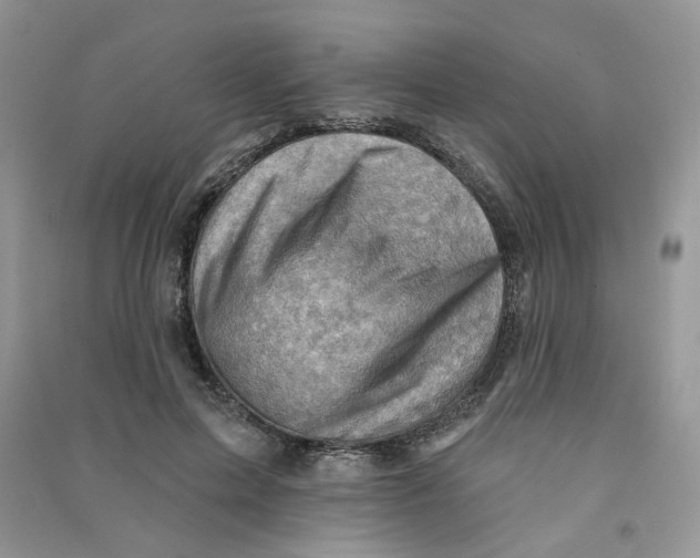 X0000090630599200708141436