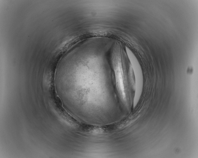 X0000090630600200708141436