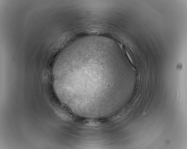 X0000090630601200708141436