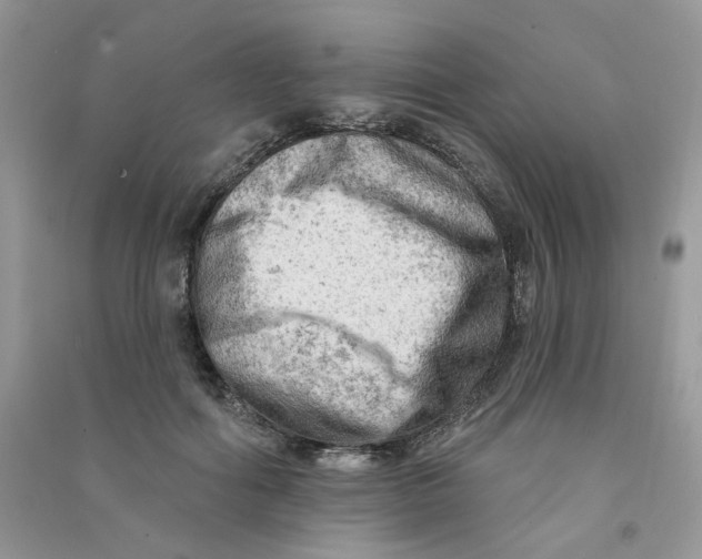 X0000090630602200708141436