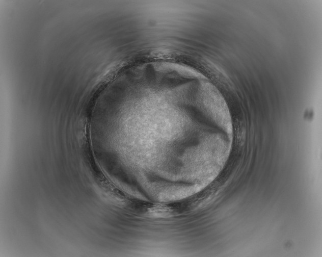 X0000090630603200708141436