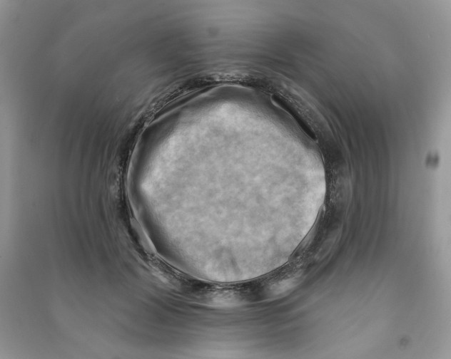 X0000090630604200708141436