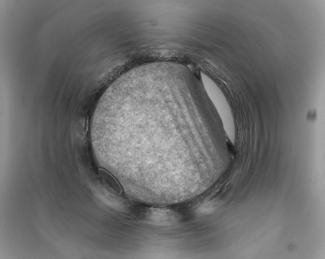 X0000090630605200708141436