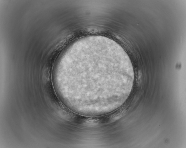 X0000090630606200708141436