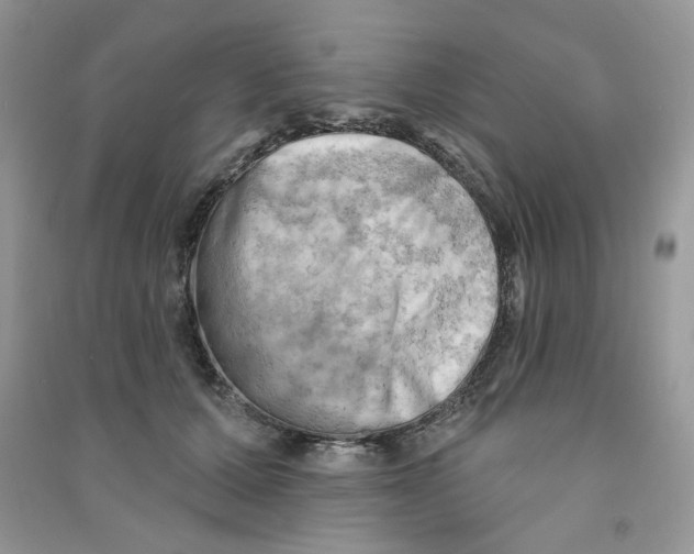 X0000090630607200708141436