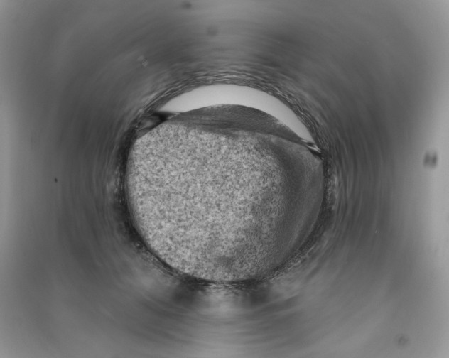 X0000090630608200708141436