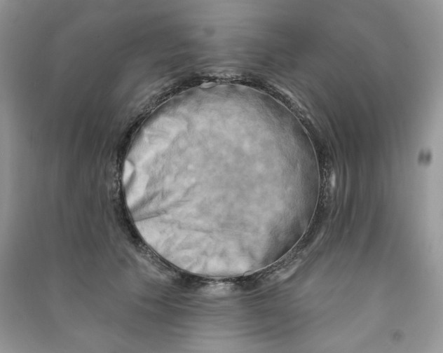 X0000090630609200708141436