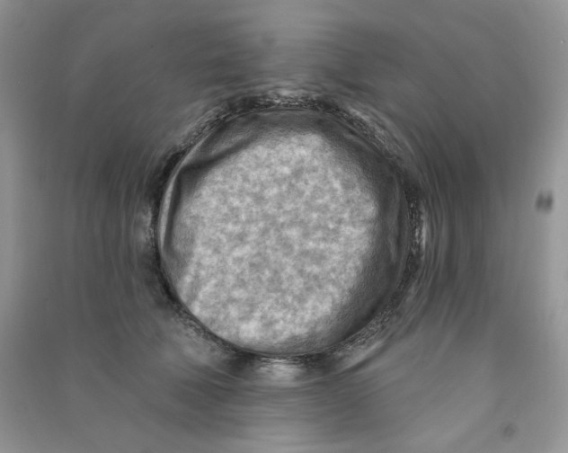 X0000090630610200708141435