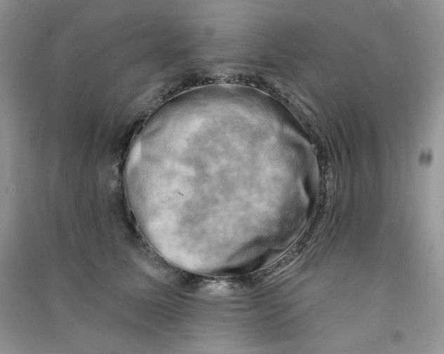 X0000090630611200708141435