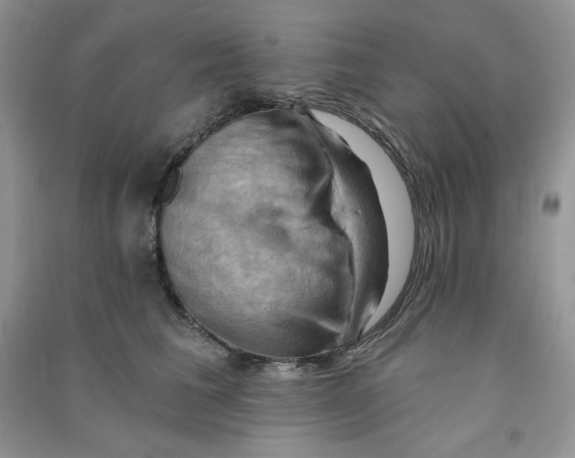 X0000090630613200708141435