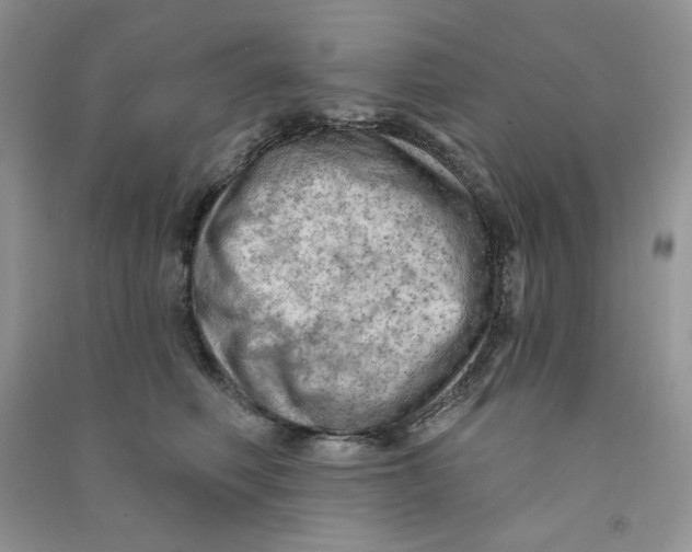 X0000090630614200708141435