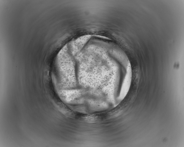X0000090630615200708141435