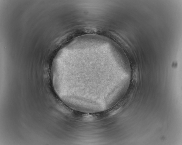 X0000090630616200708141435