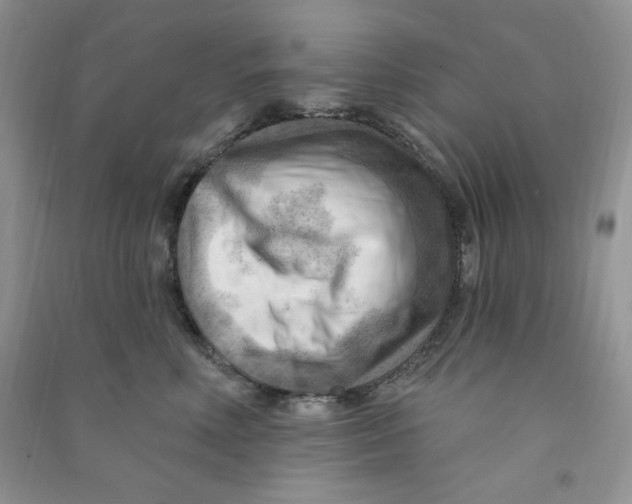 X0000090630618200708141435