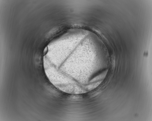 X0000090630619200708141435