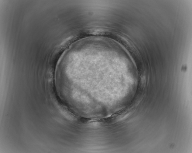 X0000090630620200708141435