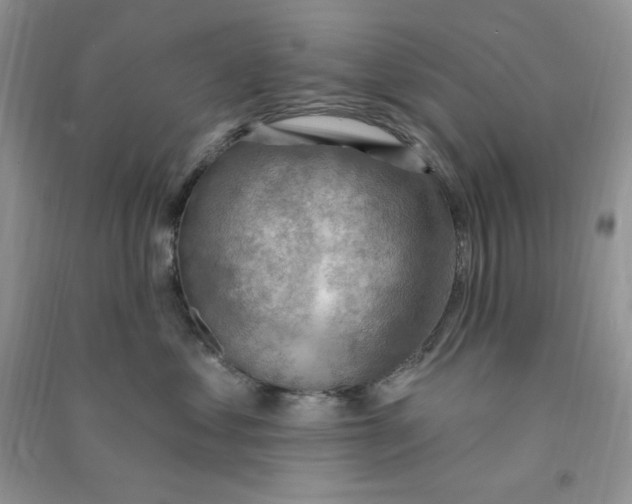 X0000090630621200708141435