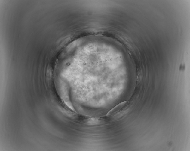 X0000090630623200708141435
