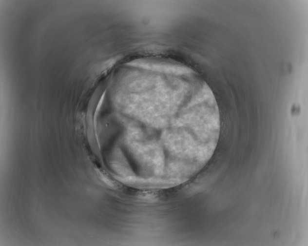 X0000090630624200708141435