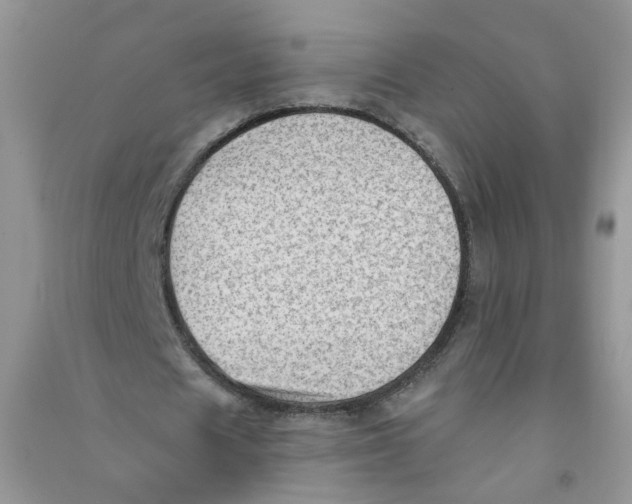 X0000090630625200708141435