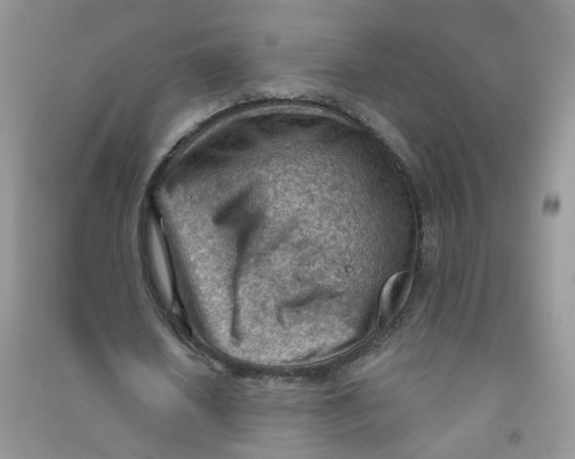X0000090630626200708141435