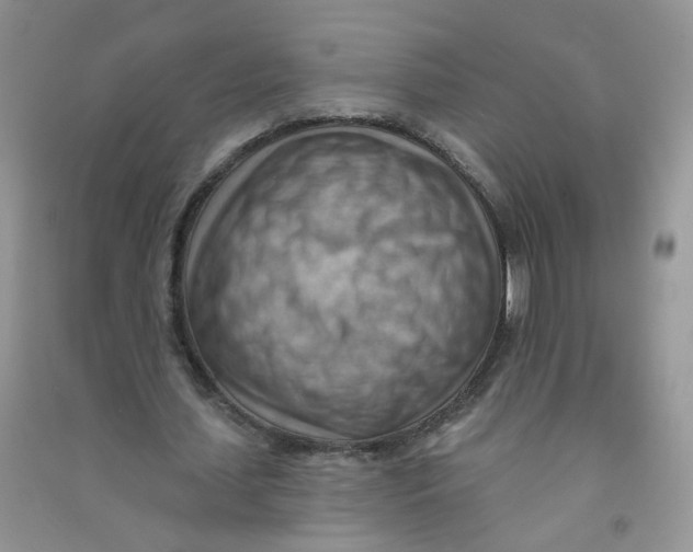 X0000090630627200708141435
