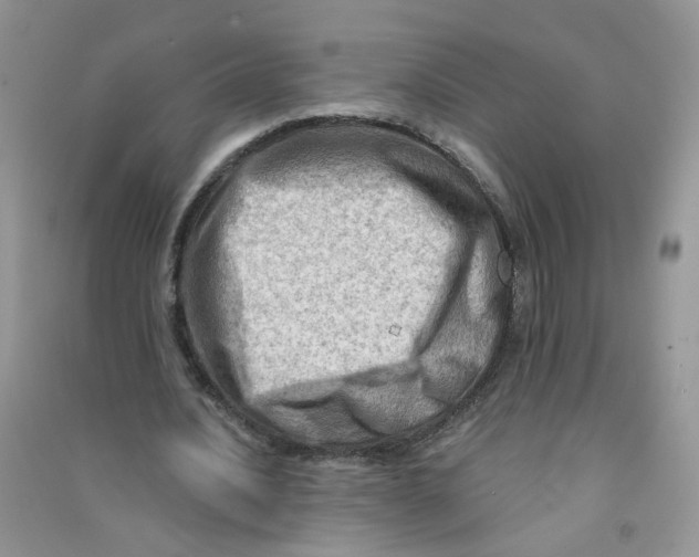 X0000090630628200708141435