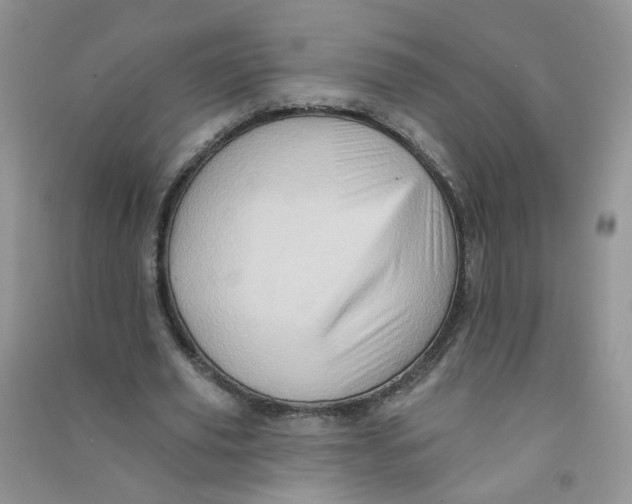 X0000090630629200708141435