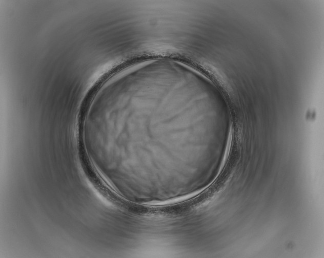 X0000090630630200708141435