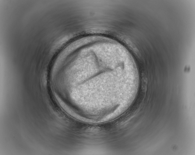 X0000090630631200708141435