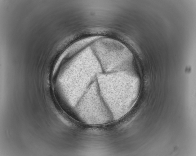 X0000090630633200708141435