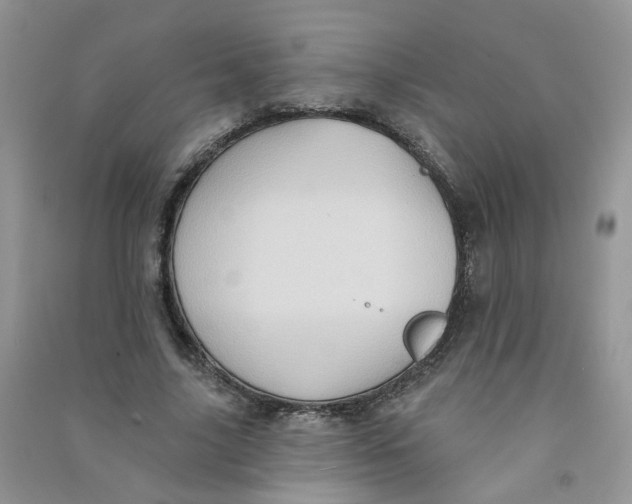 X0000090630635200708141435