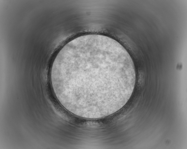 X0000090630636200708141435