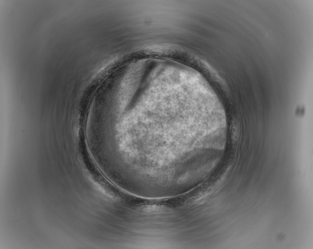 X0000090630637200708141435