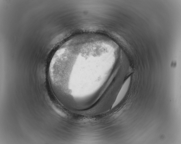 X0000090630638200708141435