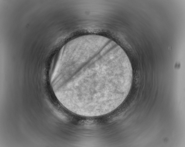 X0000090630639200708141435