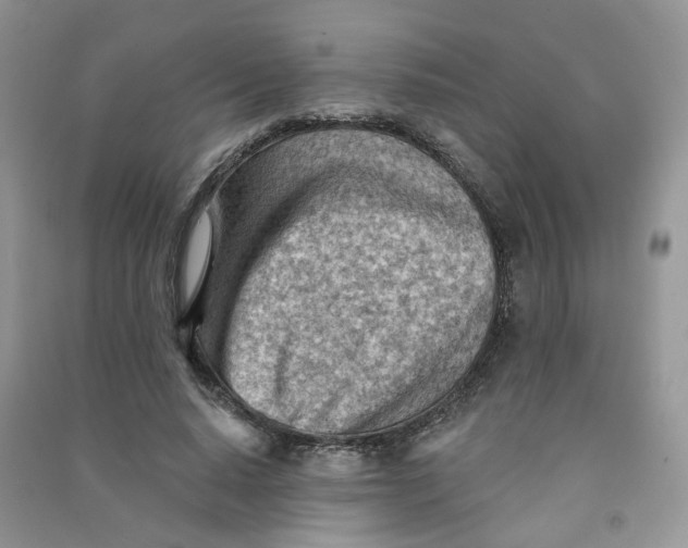 X0000090630640200708141435